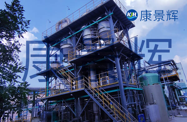 榨菜廠5T/H的蒸發(fā)結晶設備