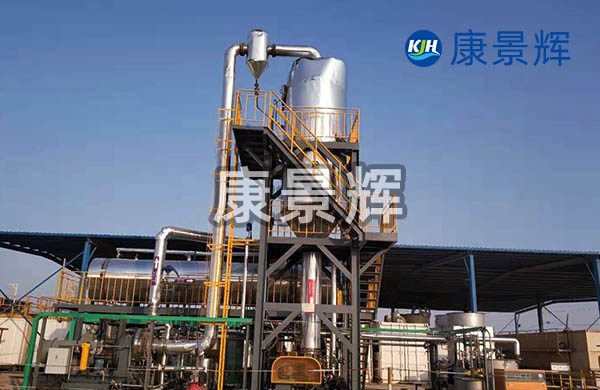 處理量5t/h雜鹽單效蒸發(fā)結(jié)晶系統(tǒng)