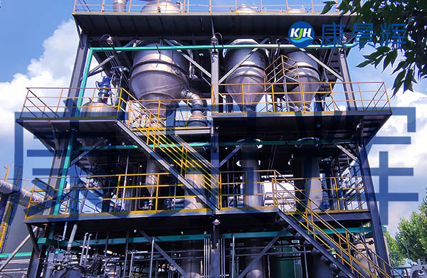 蒸發(fā)量5.6t/h的氯化鈉蒸發(fā)器