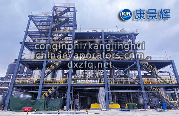 處理量29t/h硫酸鈉、硫酸銨預(yù)處理+蒸發(fā)分鹽+母液干化系統(tǒng)